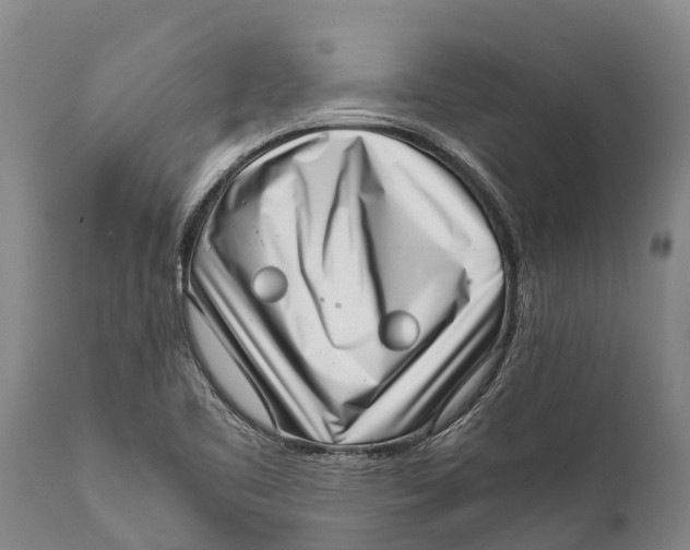 X0000111921461200908171313