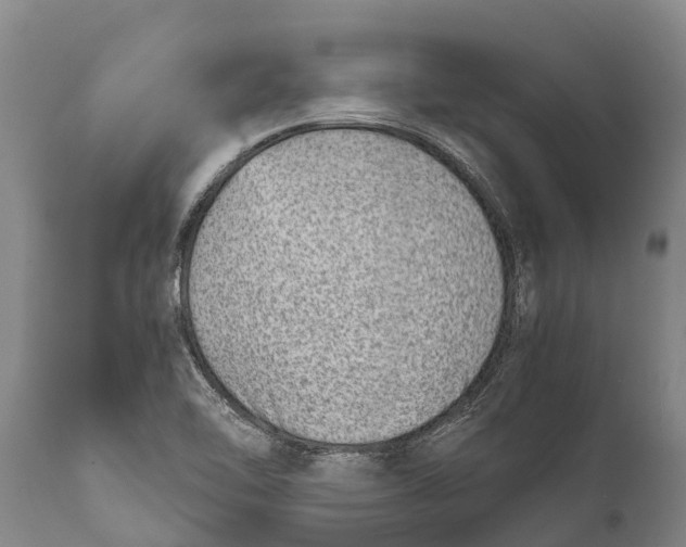 X0000111921462200908171313