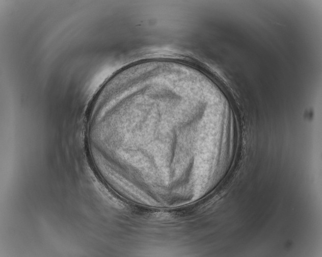 X0000111921463200908171313