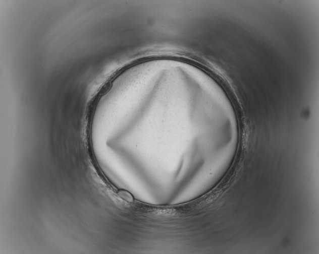 X0000111921464200908171313