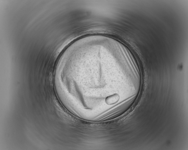 X0000111921465200908171313