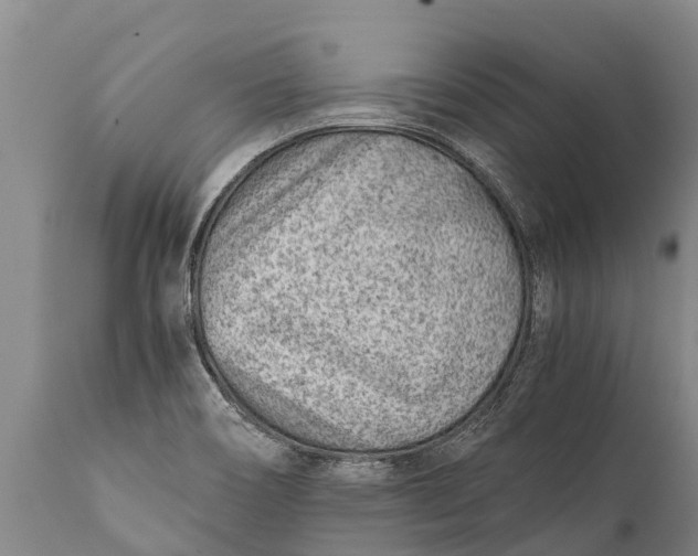 X0000111921466200908171313