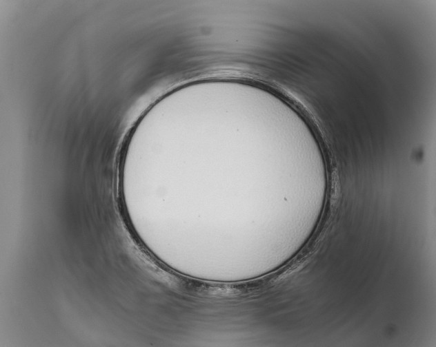 X0000111921467200908171313