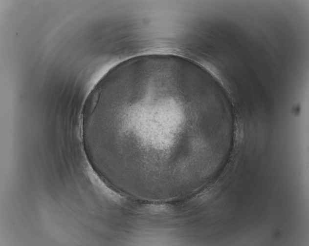 X0000111921468200908171313