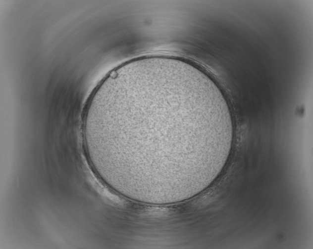 X0000111921470200908171313