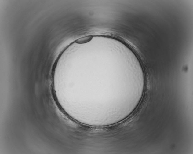 X0000111921471200908171313