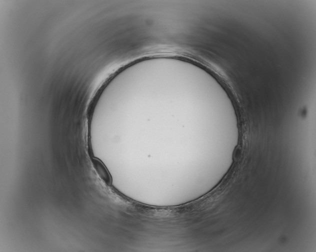 X0000111921472200908171313