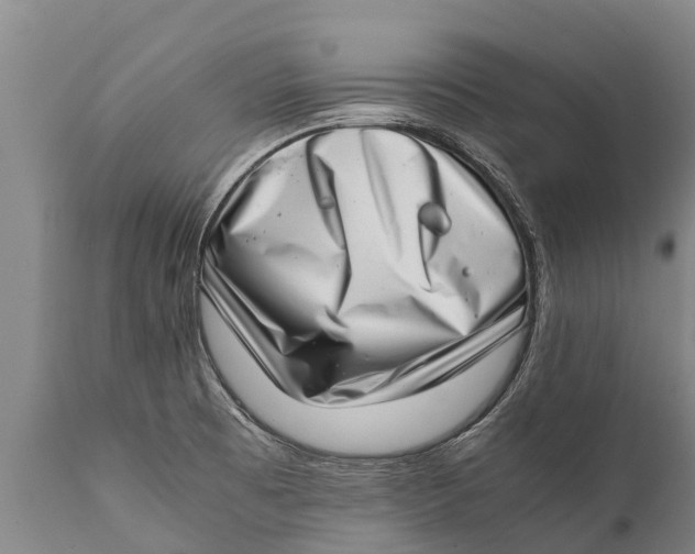 X0000111921473200908171313