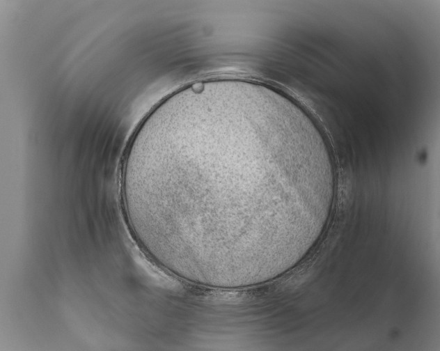 X0000111921474200908171313