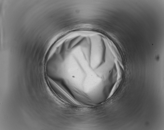 X0000111921475200908171313