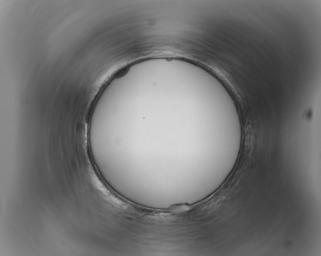 X0000111921476200908171313