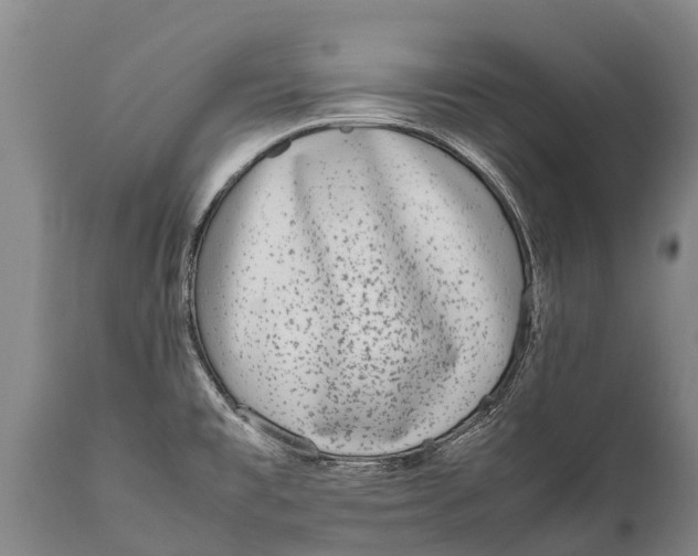 X0000111921477200908171313