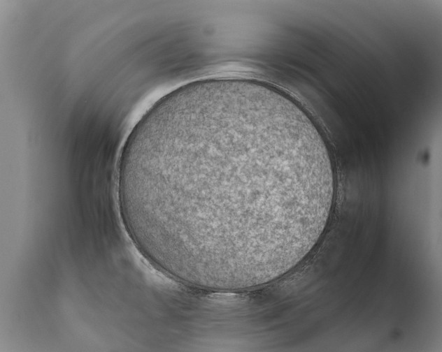 X0000111921478200908171313