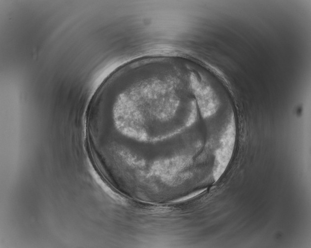 X0000111921479200908171313