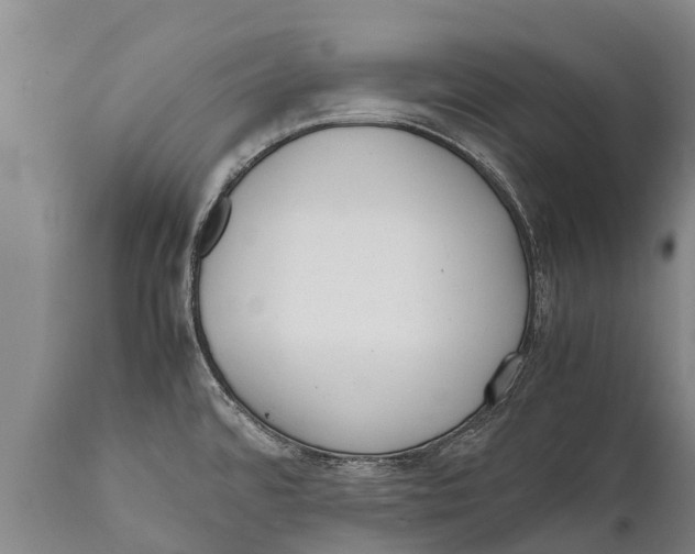 X0000111921480200908171313