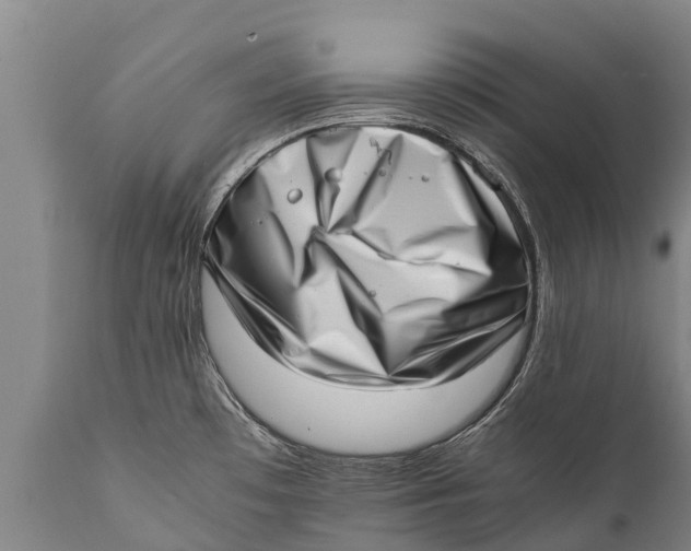 X0000111921481200908171313