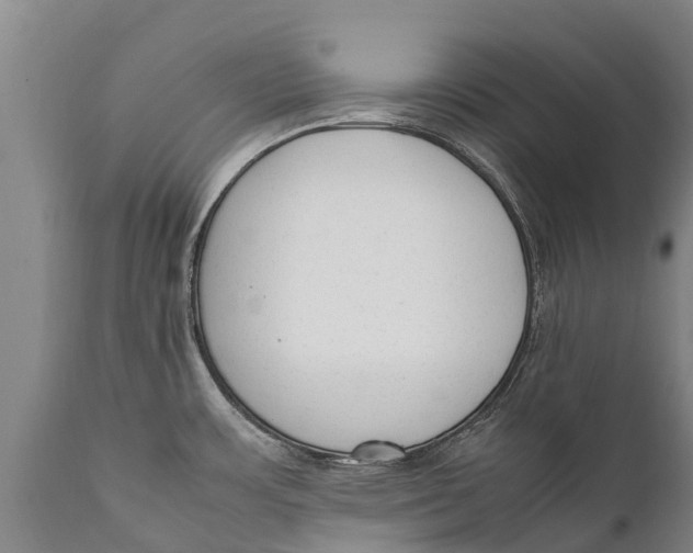 X0000111921483200908171313