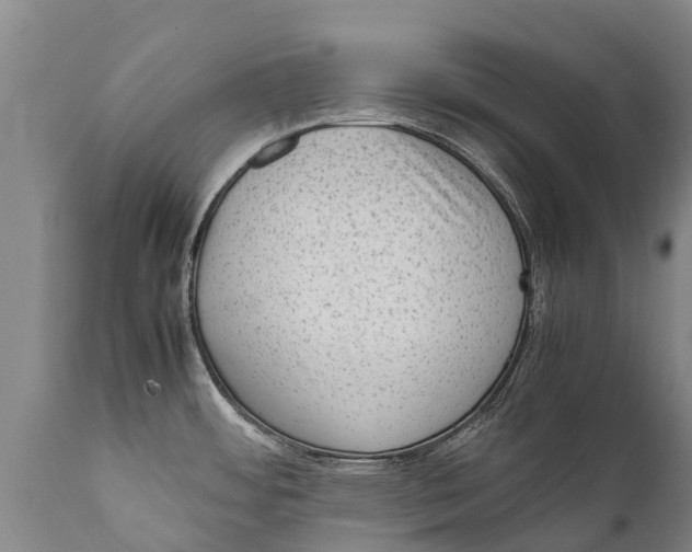 X0000111921484200908171313