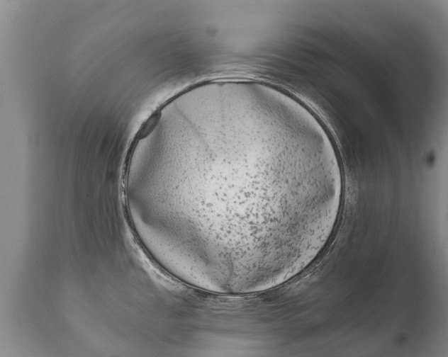 X0000111921485200908171313