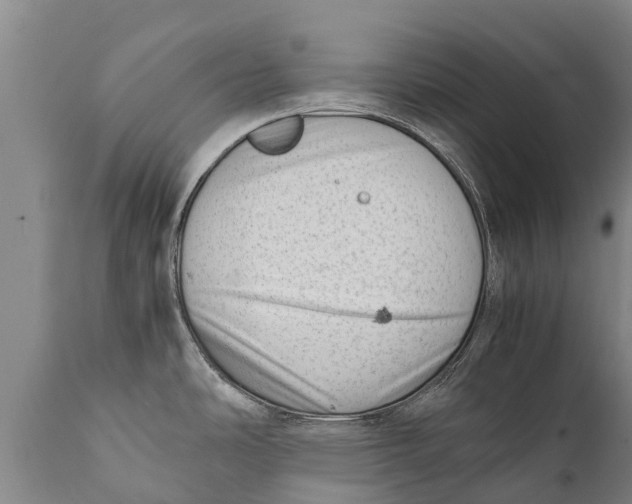 X0000111921486200908171313