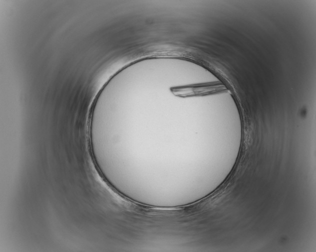 X0000111921487200908171313