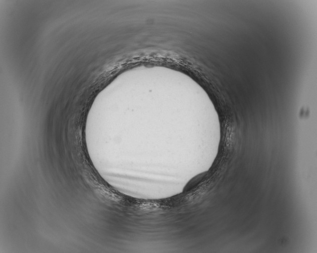 X0000111921489200908171312