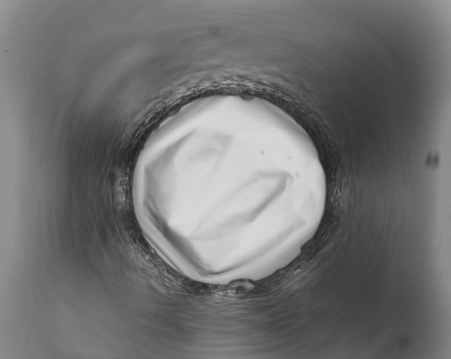 X0000111921490200908171312