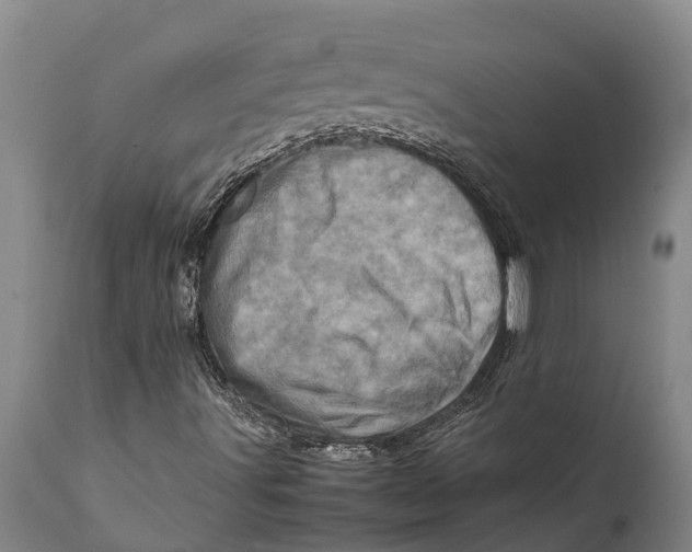 X0000111921491200908171312