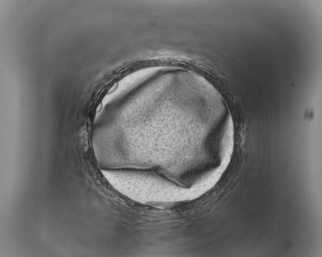 X0000111921493200908171312