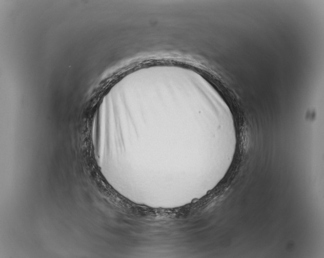 X0000111921494200908171312