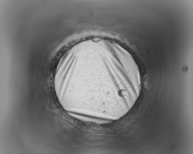 X0000111921495200908171312