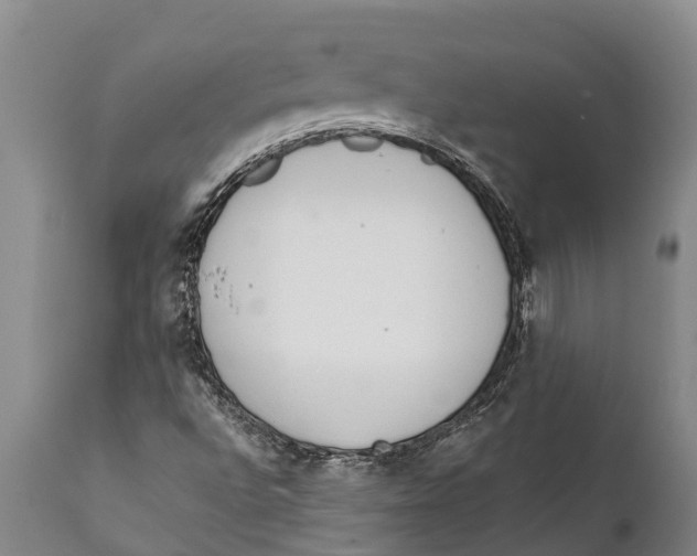 X0000111921496200908171312