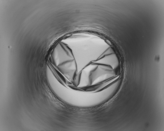 X0000111921497200908171312