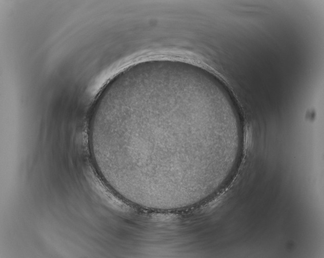 X0000111921498200908171312