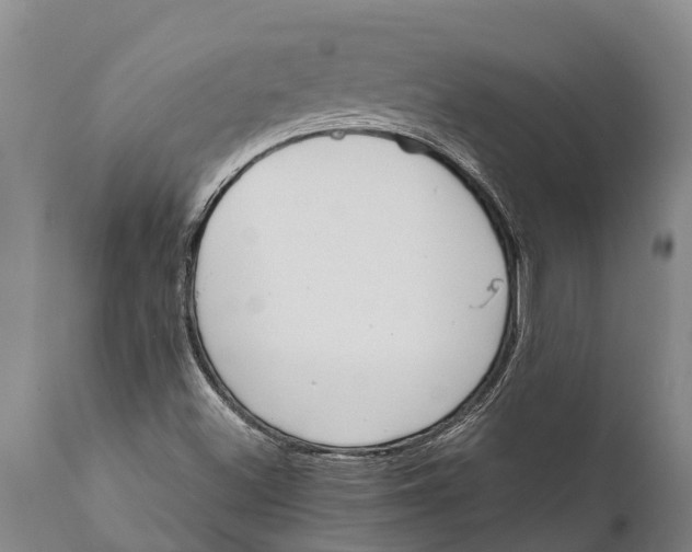 X0000111921500200908171312