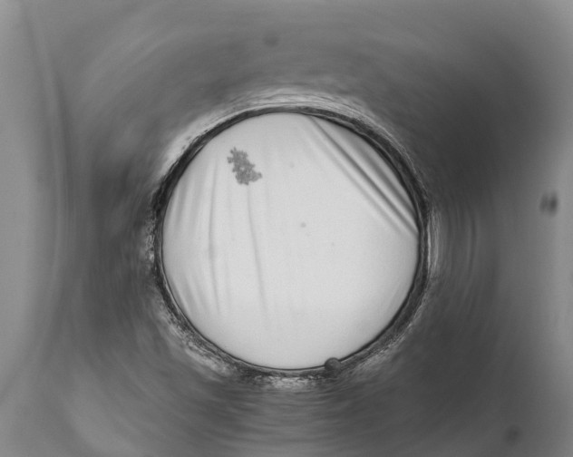 X0000111921501200908171312