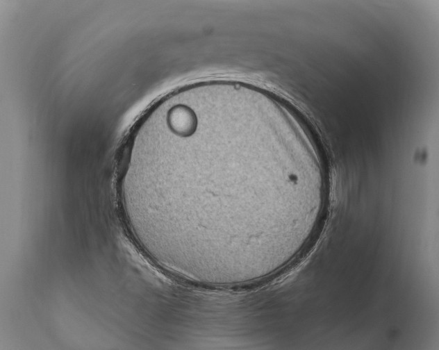 X0000111921502200908171312