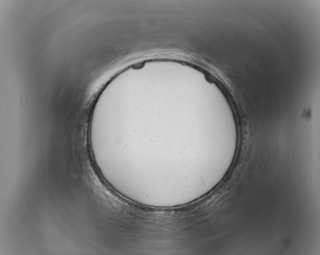 X0000111921504200908171312