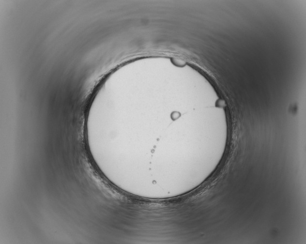 X0000111921507200908171313