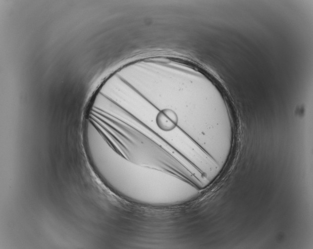 X0000111921508200908171313