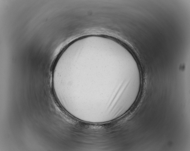 X0000111921509200908171313