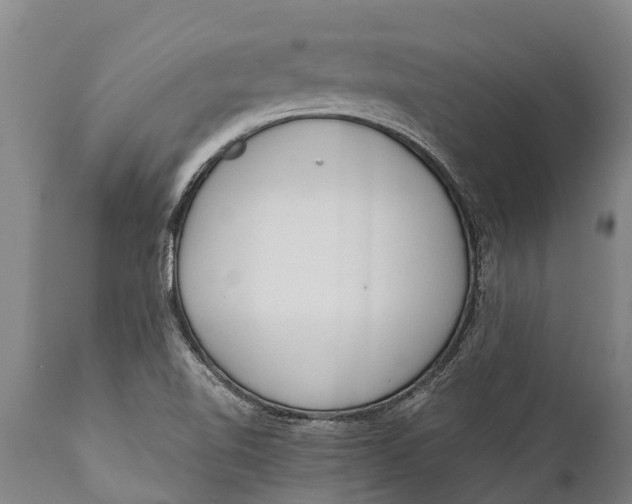 X0000111921510200908171313