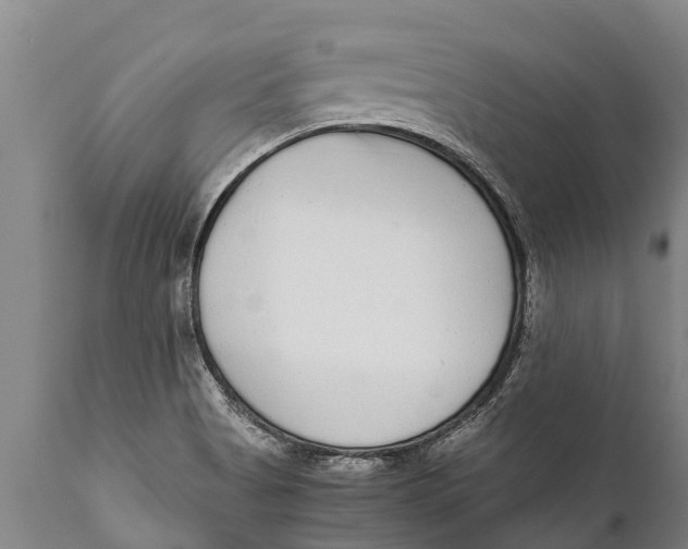 X0000111921513200908171313