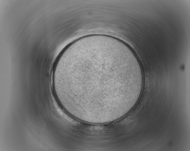 X0000111921515200908171313