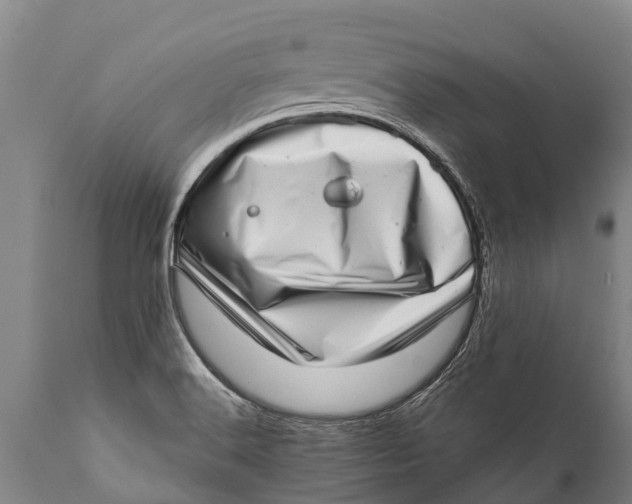 X0000111921516200908171313