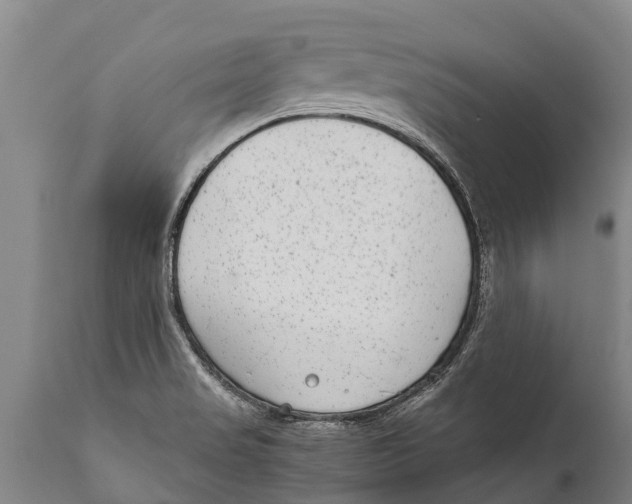 X0000111921517200908171313