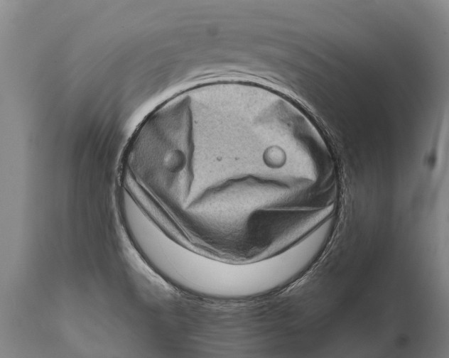 X0000111921518200908171313