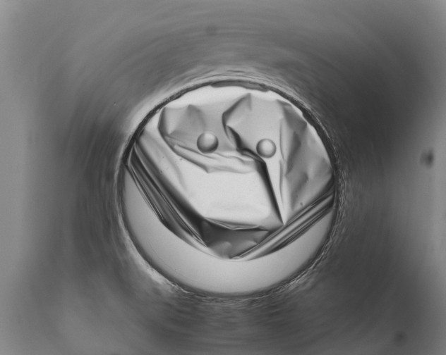 X0000111921519200908171313