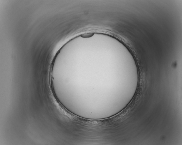 X0000111921520200908171313