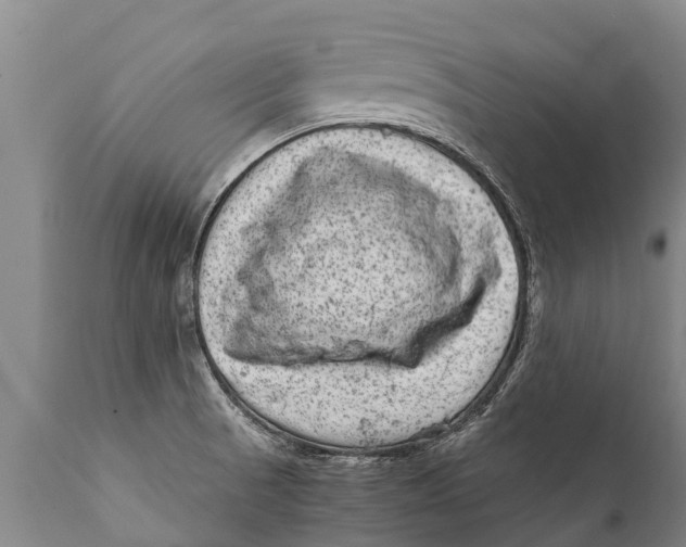 X0000111921521200908171313